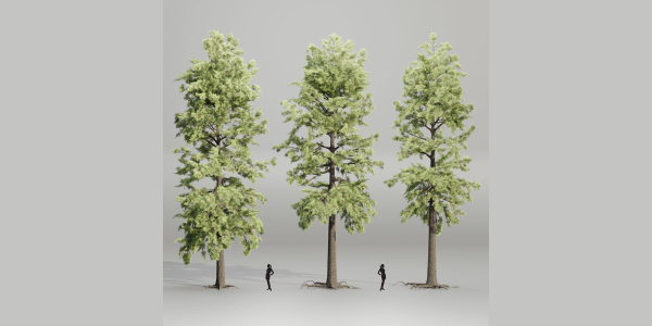pine trees collection vol 102-Blender
