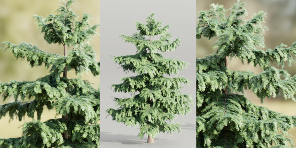 Pine trees collection vol 107-Blender