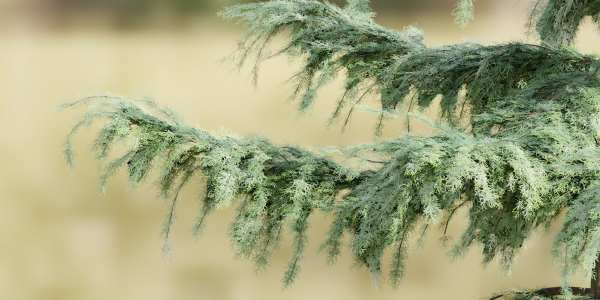 Pine trees collection vol 107-Blender
