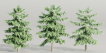 Pine trees collection vol 107-Blender