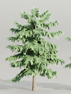 Pine trees collection vol 107-Blender