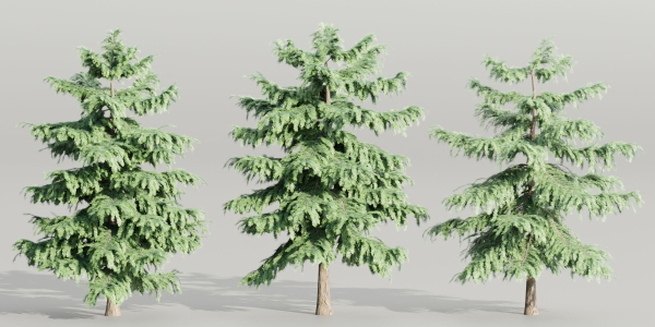 Pine trees collection vol 107-Blender