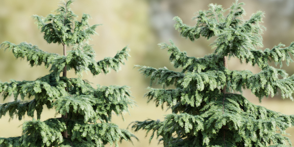 Pine trees collection vol 107-Blender