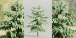Pine trees collection vol 107-Blender
