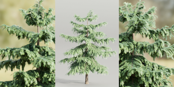 Pine trees collection vol 107-Blender