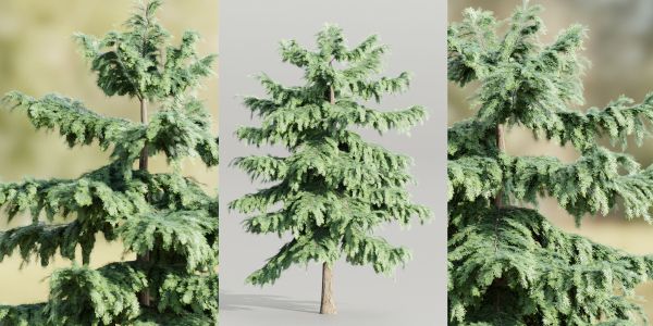 Pine trees collection vol 107-Blender