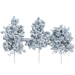 pine trees collection vol 11