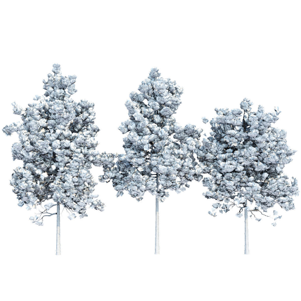 pine trees collection vol 11