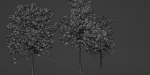 pine trees collection vol 11-Blender