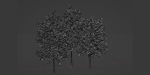 pine trees collection vol 11-Blender