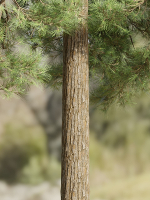 pine-trees-collection-vol-178-blender-3d-model-0a365f7409