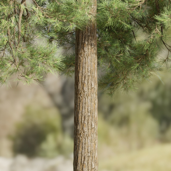 Pine trees collection vol 178-Blender