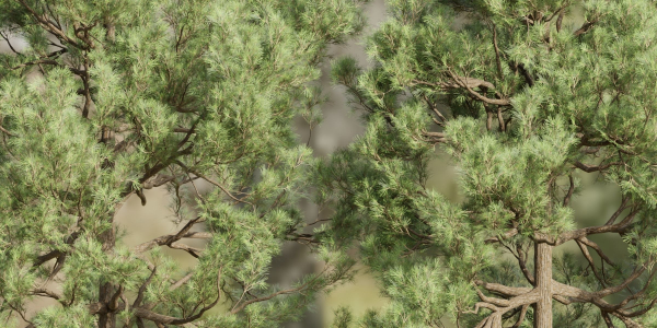 Pine trees collection vol 178-Blender