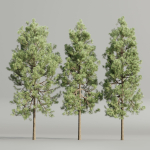 Pine trees collection vol 178-Blender