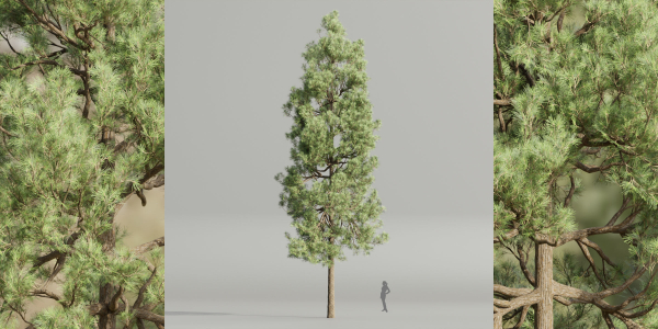 Pine trees collection vol 178-Blender