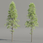 Pine Trees collection vol 227-Blender