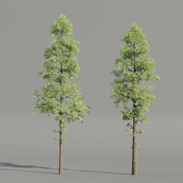 Pine Trees collection vol 227-Blender