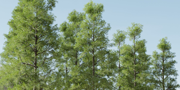 Pine Trees collection vol 227-Blender