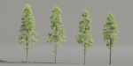Pine Trees collection vol 227-Blender