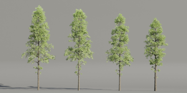 Pine Trees collection vol 227-Blender