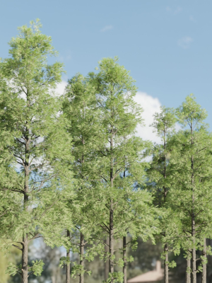 pine-trees-collection-vol-227-blender-3d-model-f54153ad63