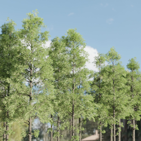 Pine Trees collection vol 227-Blender