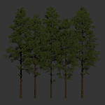 Pine trees collection vol 234