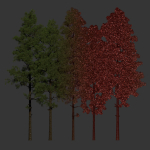 Pine trees collection vol 234