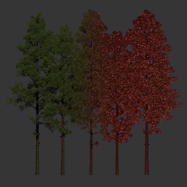 Pine trees collection vol 234