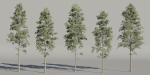 Pine trees collection vol 234-Blender