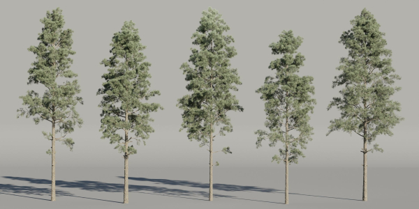 Pine trees collection vol 234-Blender