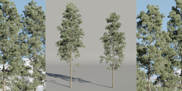 Pine trees collection vol 234-Blender
