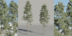 Pine trees collection vol 234-Blender