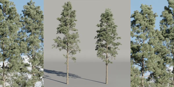 Pine trees collection vol 234-Blender