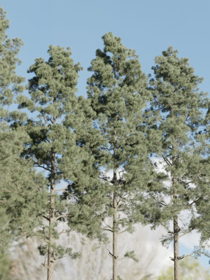 pine-trees-collection-vol-234-blender-3d-model-bb4ed00d99