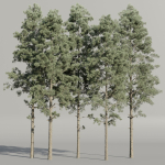 Pine trees collection vol 234-Blender