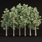 Pine trees collection vol 245