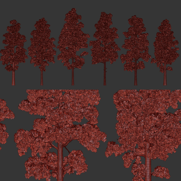 Pine trees collection vol 245