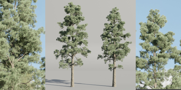 Pine trees collection vol 245-Blender