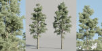 Pine trees collection vol 245-Blender