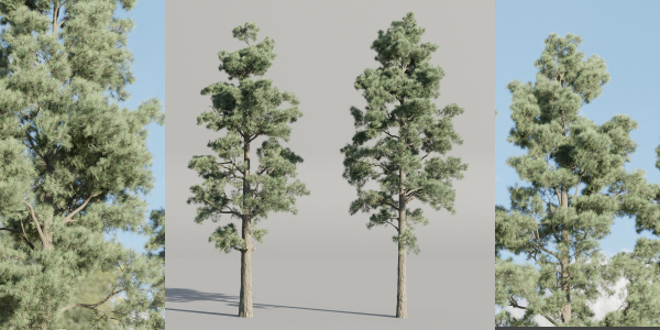 Pine trees collection vol 245-Blender