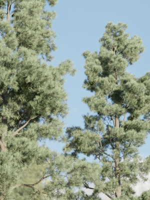pine-trees-collection-vol-245-blender-3d-model-a7cc030068