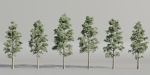 Pine trees collection vol 245-Blender