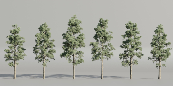 Pine trees collection vol 245-Blender
