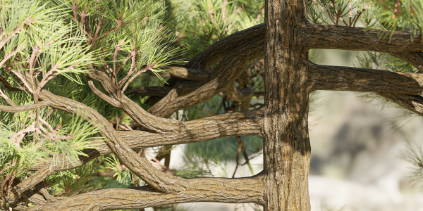 pine trees collection vol 51-Blender