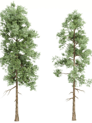 pine-trees-vol-18-blender-3d-model-54587c98ec