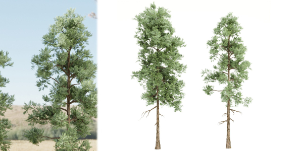 pine trees vol 18-Blender