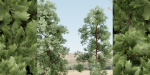 pine trees vol 18-Blender