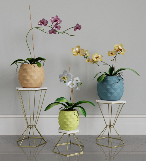 pineapple pot