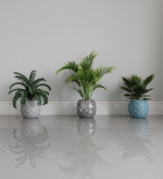 pineapple pot
